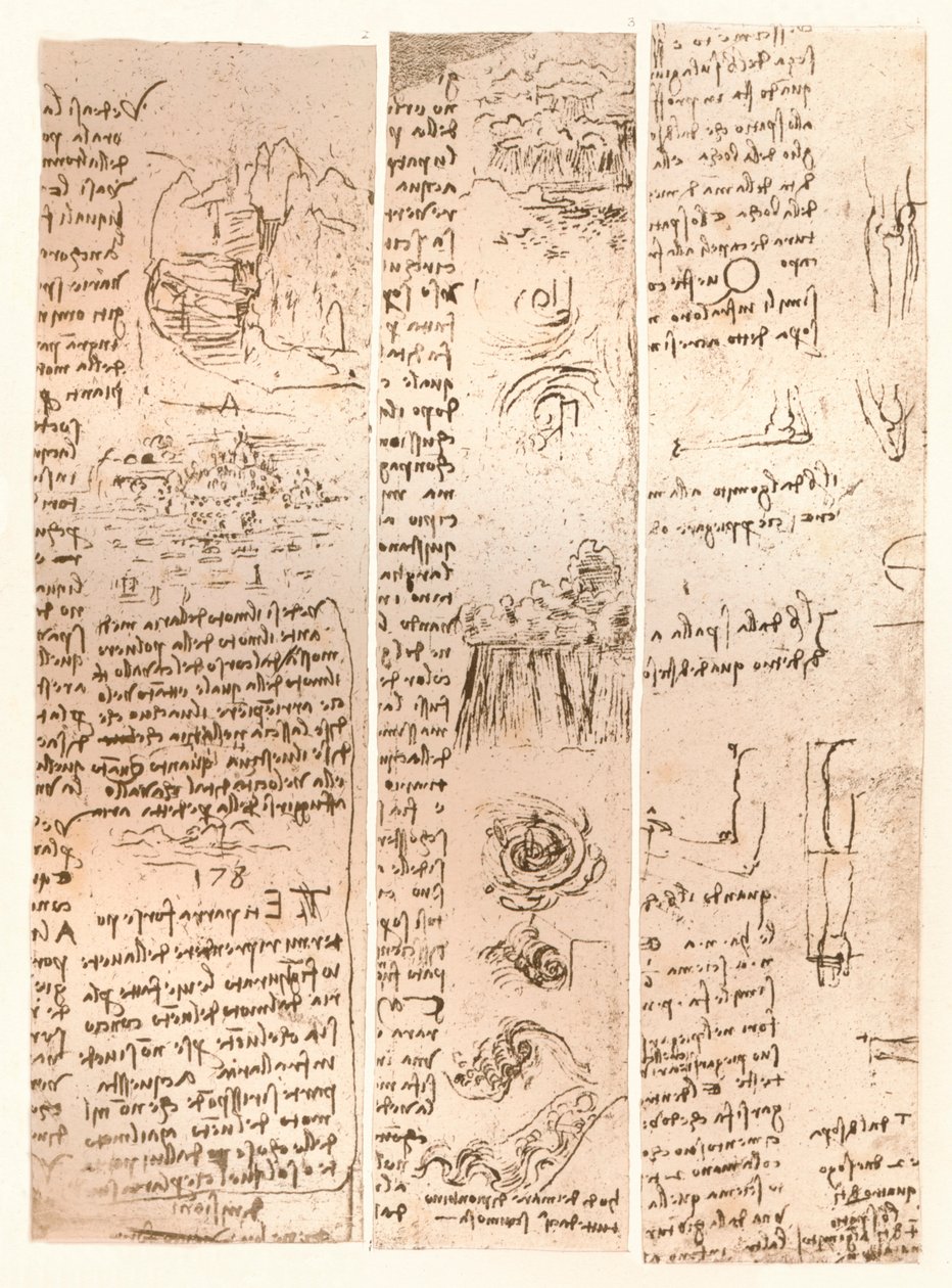 三幅图，c1472-c1519 1883 作者 达芬奇（Leonardo da Vinci）