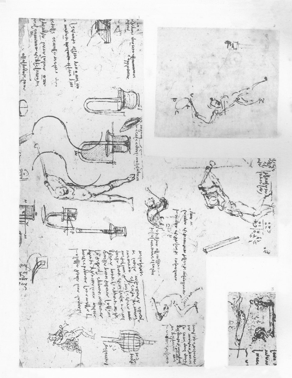 三幅图，描绘了人体运动的理论，c1472-c1519 1883 作者 达芬奇（Leonardo da Vinci）