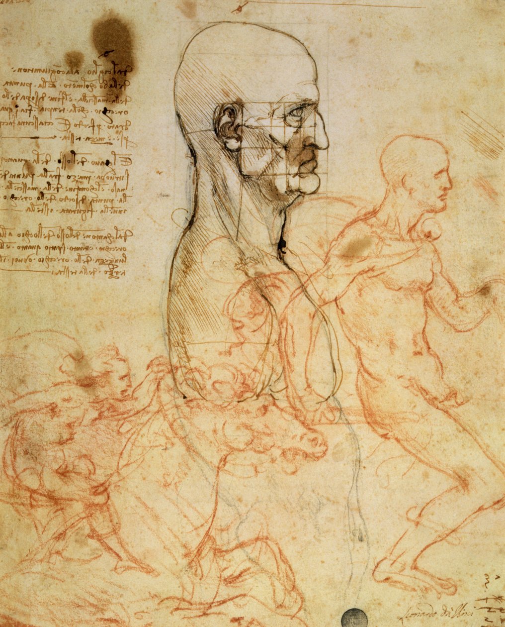 一个人的躯干，头部平衡的比例，和两个骑士的草图，c.1490和c.1504（笔墨水和红色粉笔在金属点纸上 作者 达芬奇（Leonardo da Vinci）