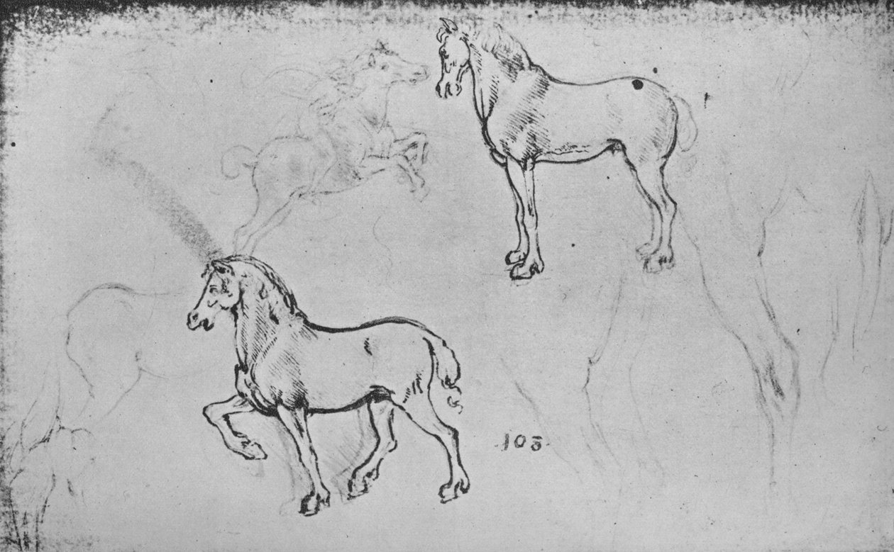 两项马术研究，一个奔马的骑兵和其他马腿，c1480 1945年 作者 达芬奇（Leonardo da Vinci）