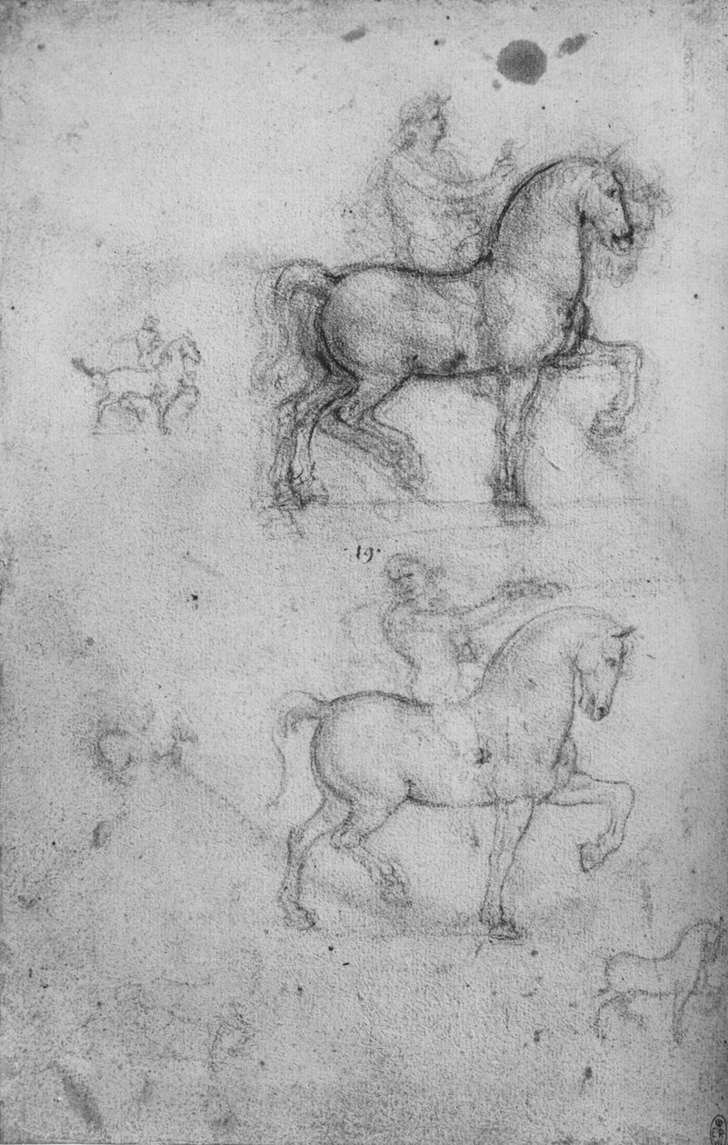 马与骑手的两项研究和马的小型研究，c1480 1945年 作者 达芬奇（Leonardo da Vinci）