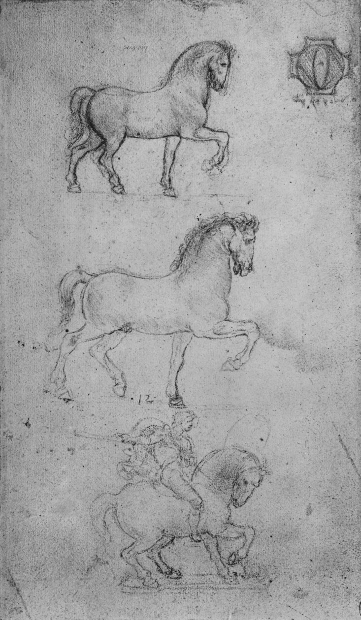 马的两个研究和马与骑手的一个研究，c1480 1945年 作者 达芬奇（Leonardo da Vinci）
