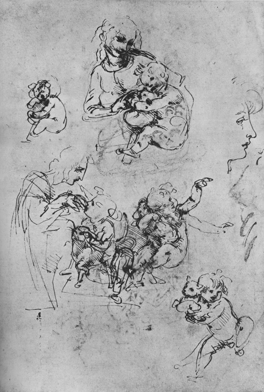 麦当娜和有猫的孩子的两项研究和童子的三项研究，1475-1481年（1945年） 作者 达芬奇（Leonardo da Vinci）