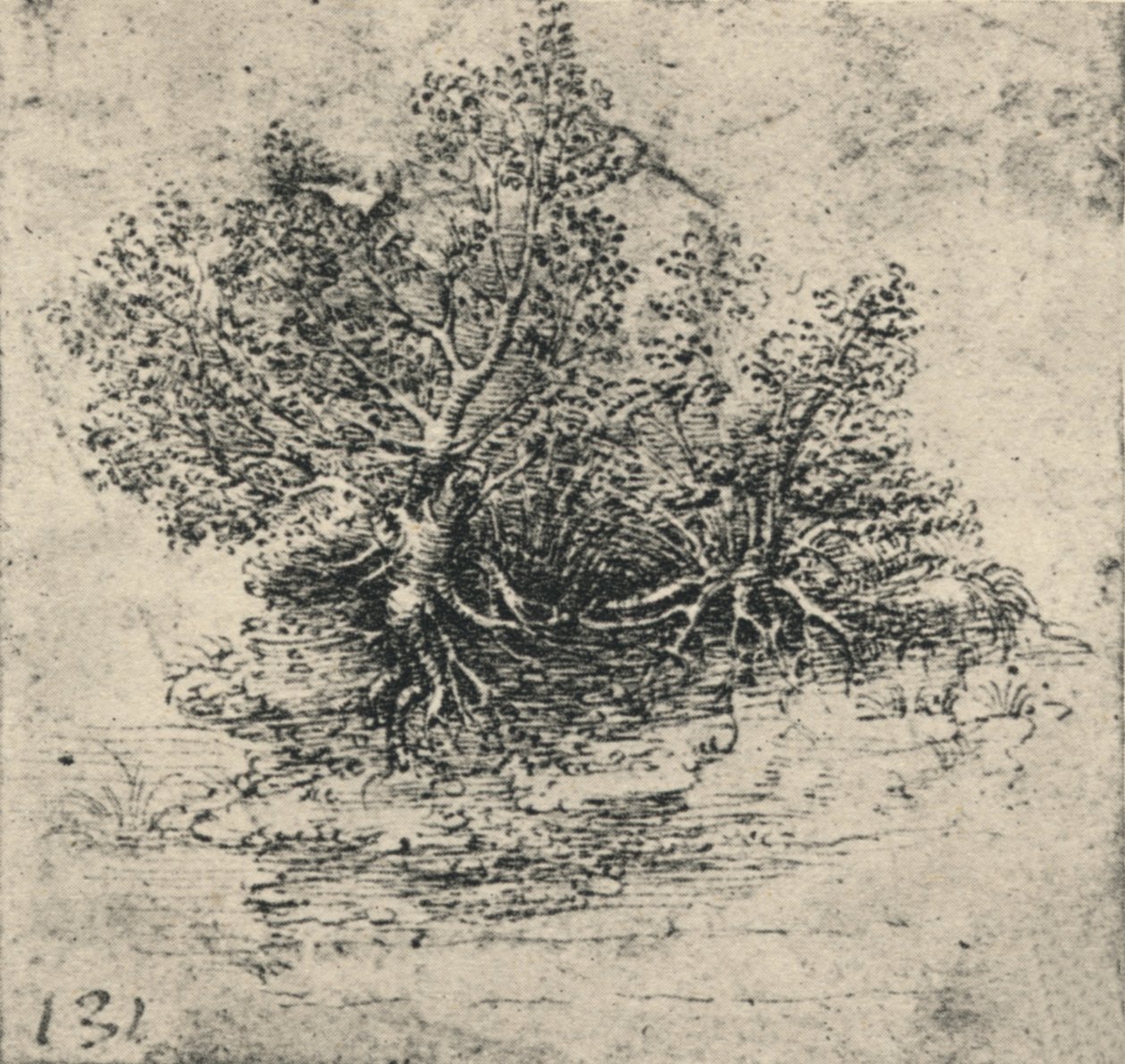 溪岸两棵树，c1480 1945年 作者 达芬奇（Leonardo da Vinci）