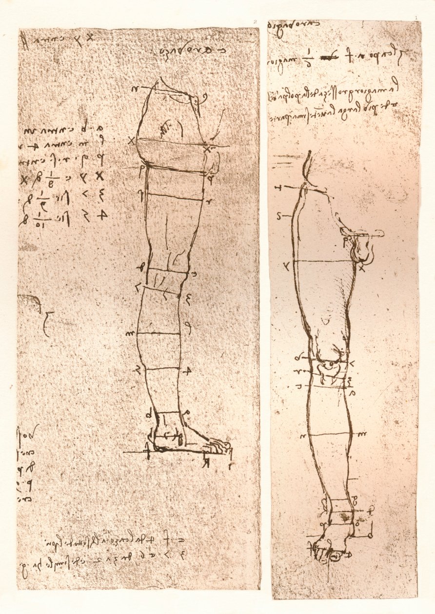 两幅图说明了人物比例的理论，c1472-c1519 1883 作者 达芬奇（Leonardo da Vinci）