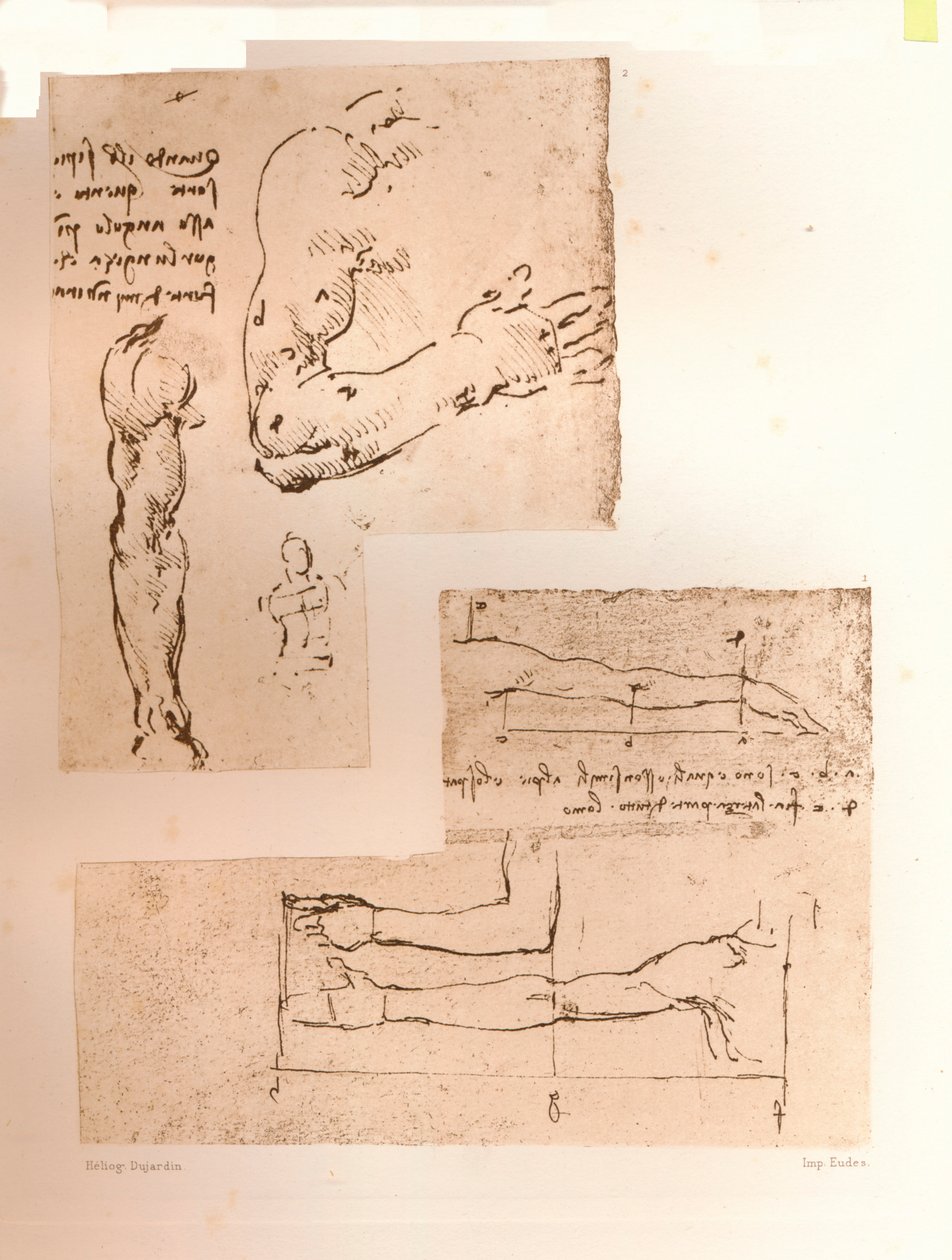 两幅图说明了人物比例的理论，c1472-c1519 1883 作者 达芬奇（Leonardo da Vinci）