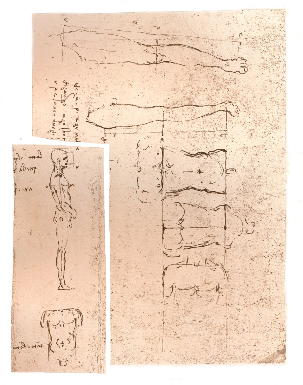 两幅图说明了人物比例的理论，c1472-c1519 1883 作者 达芬奇（Leonardo da Vinci）