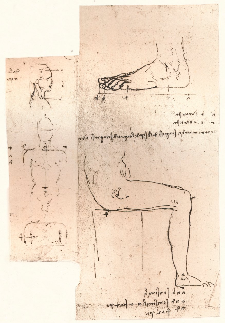 两幅图说明了人物比例的理论，c1472-c1519 1883 作者 达芬奇（Leonardo da Vinci）