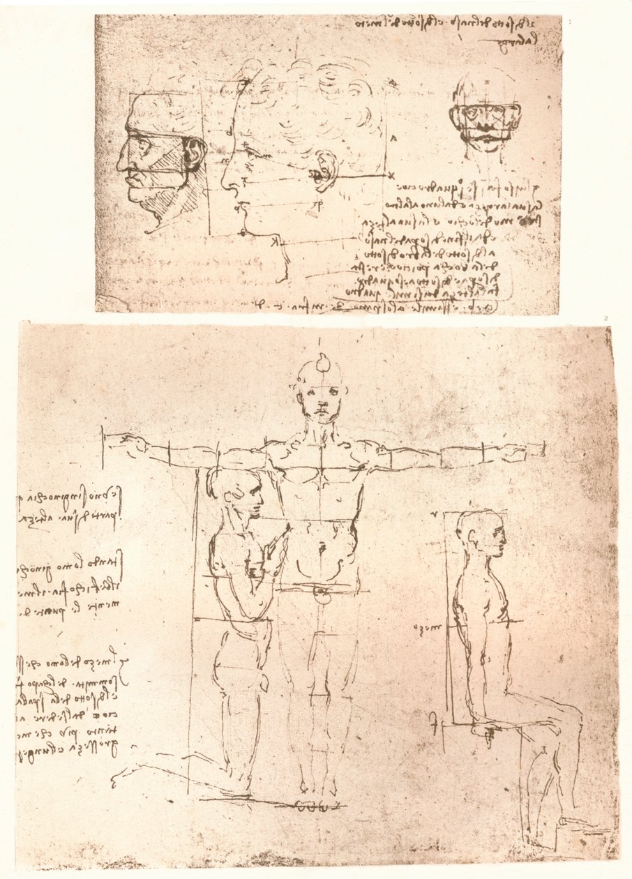两幅图说明了人物比例的理论，c1472-c1519 1883。 作者 达芬奇（Leonardo da Vinci）