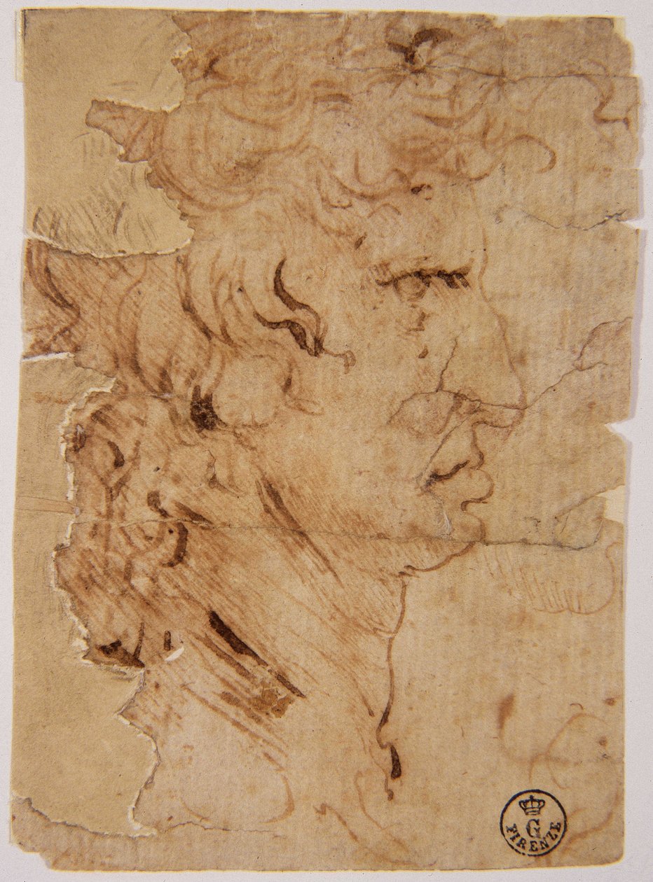 图片不明 作者 达芬奇（Leonardo da Vinci）