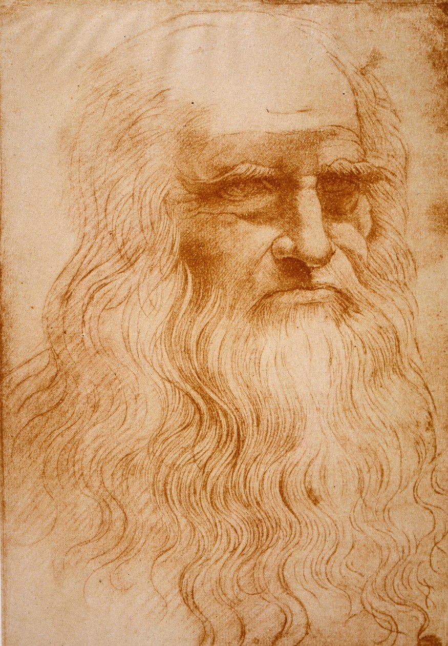 图片不明 作者 达芬奇（Leonardo da Vinci）