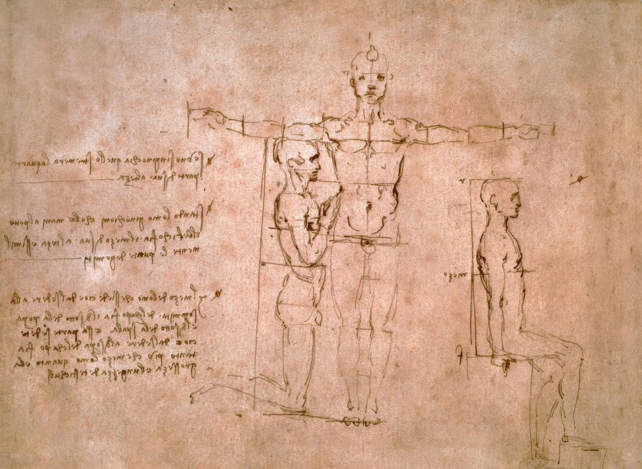 比较比例研究... 作者 达芬奇（Leonardo da Vinci）