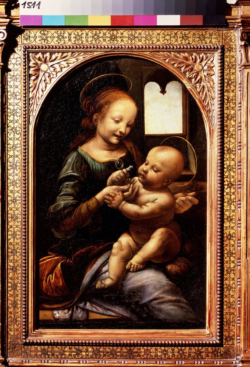 带花的圣母或贝努瓦圣母。达芬奇的画作（达芬奇 作者 达芬奇（Leonardo da Vinci）