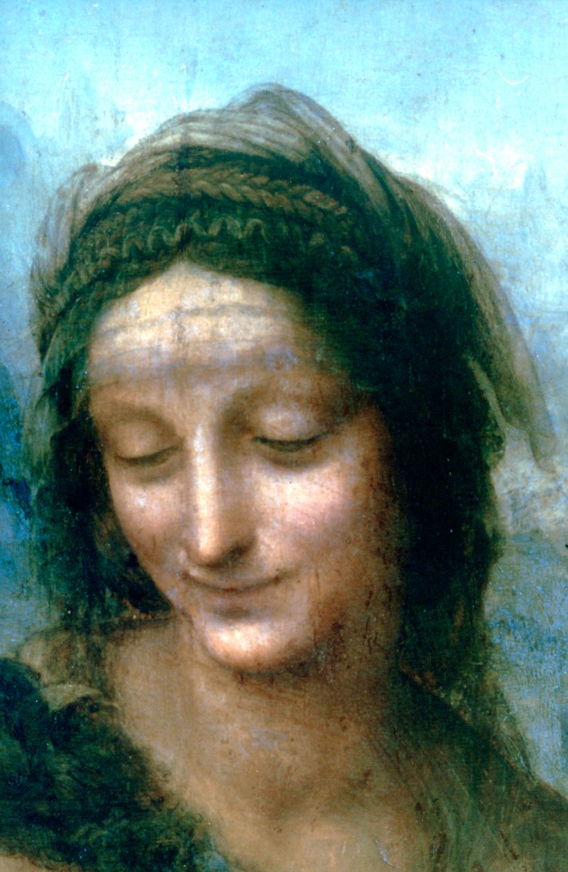 圣母子与圣安妮细节，1502-1516年 作者 达芬奇（Leonardo da Vinci）