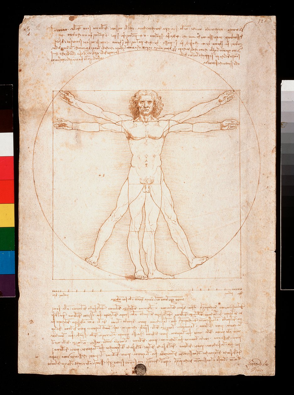 维特鲁威人 作者 达芬奇（Leonardo da Vinci）