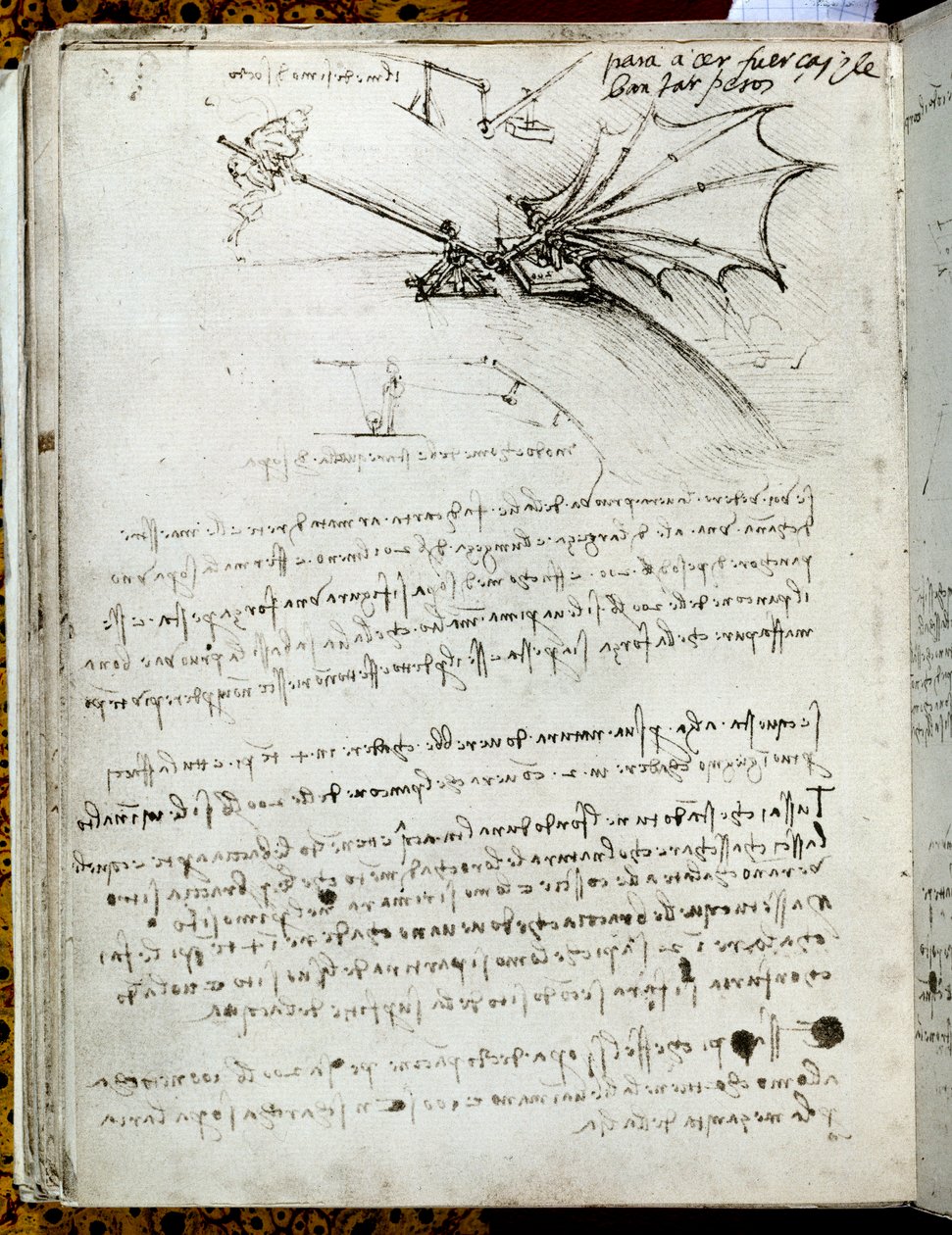 翼训练。 飞行器绘图。 莱昂纳多·达·芬奇 (Leonardo da Vinci) 的手稿 作者 达芬奇（Leonardo da Vinci）