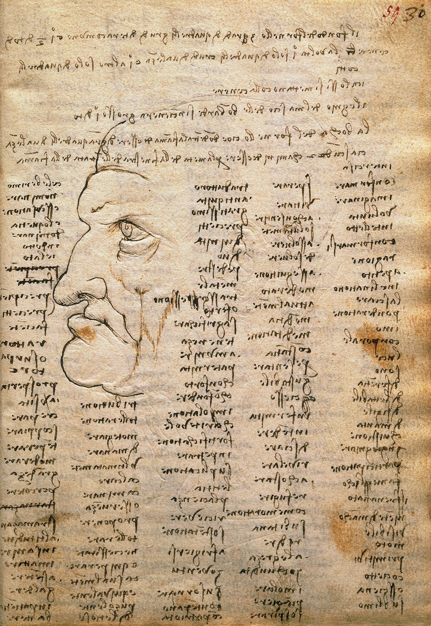 单词列表和男性概况，来自 Codex Trivulzianus 作者 达芬奇（Leonardo da Vinci）