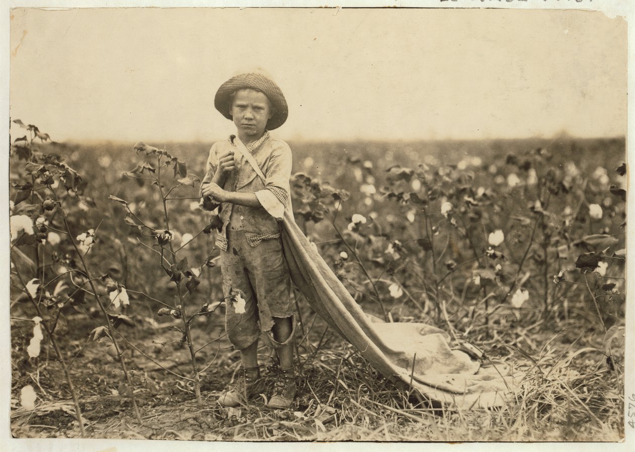 1916年，6岁的沃伦弗雷克斯在俄克拉荷马州科曼奇县的包里装了大约20磅的棉花 作者 刘易斯·威克斯·海恩