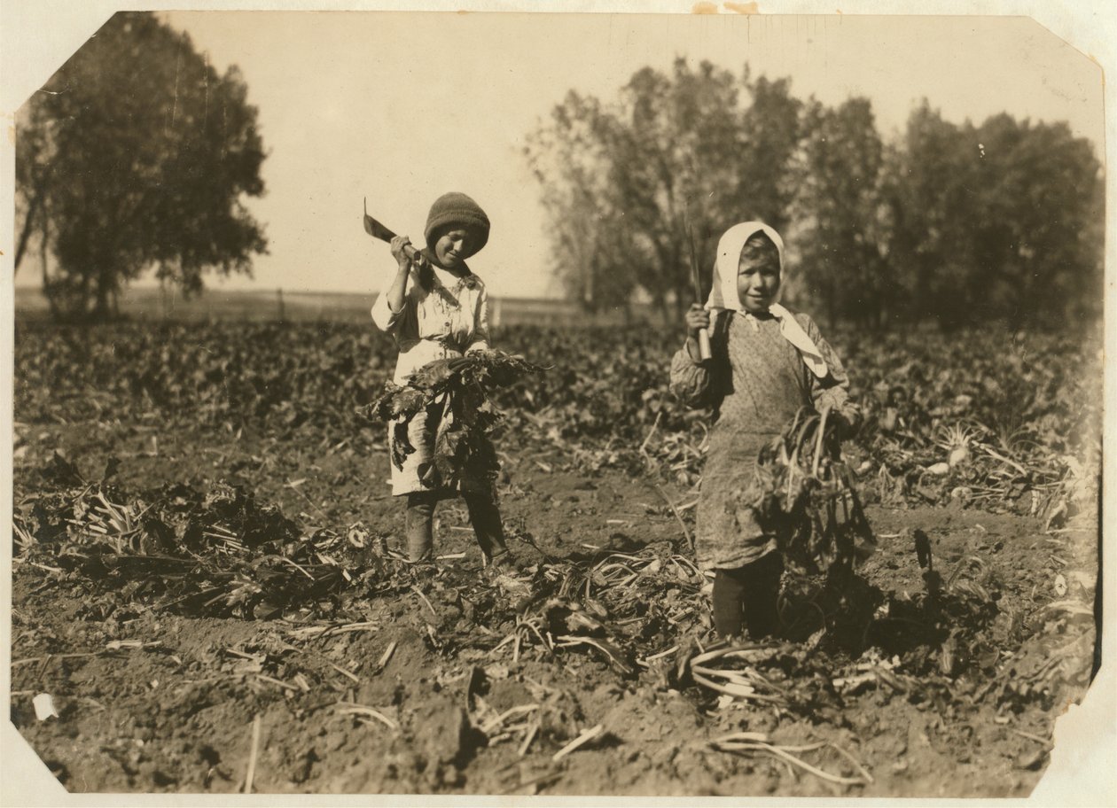 Amelia和Mary Luft，9岁和12岁，在1915年科罗拉多州斯特林附近的农场切甜菜 作者 刘易斯·威克斯·海恩
