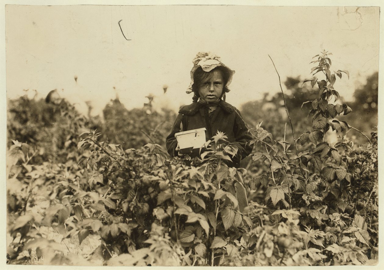 安妮比西在1909年在马里兰州巴尔的摩附近采摘浆果 作者 刘易斯·威克斯·海恩