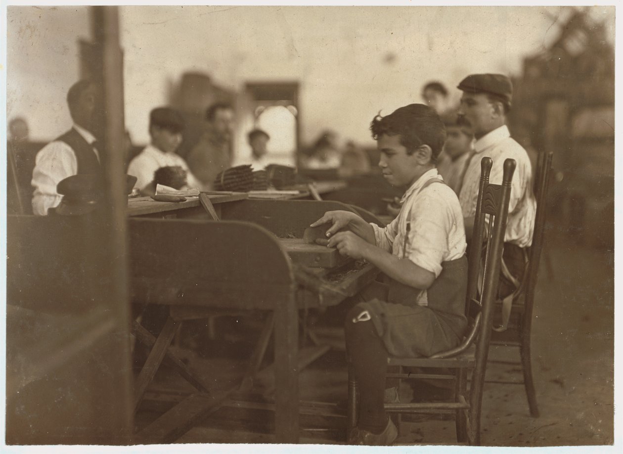 1909年，佛罗里达州坦帕市De Pedro Casellas雪茄工厂的儿童学徒 作者 刘易斯·威克斯·海恩