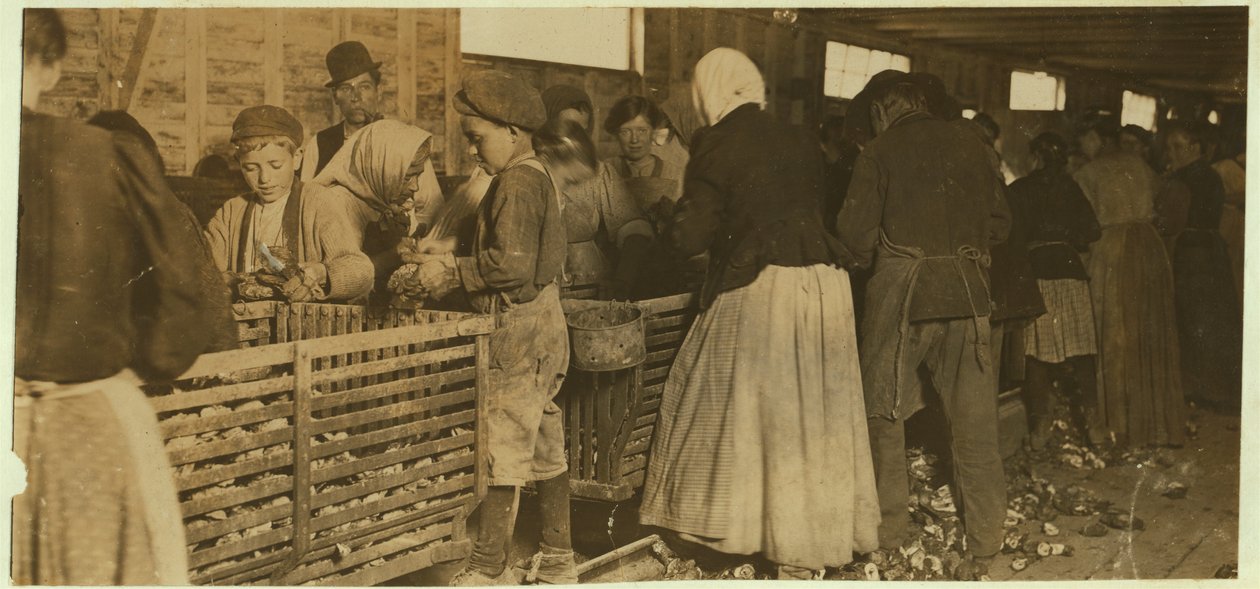 约翰尼，1911年在路易斯安那州邓巴的一个去壳棚的老板（带管子）观看的牡蛎去壳 作者 刘易斯·威克斯·海恩