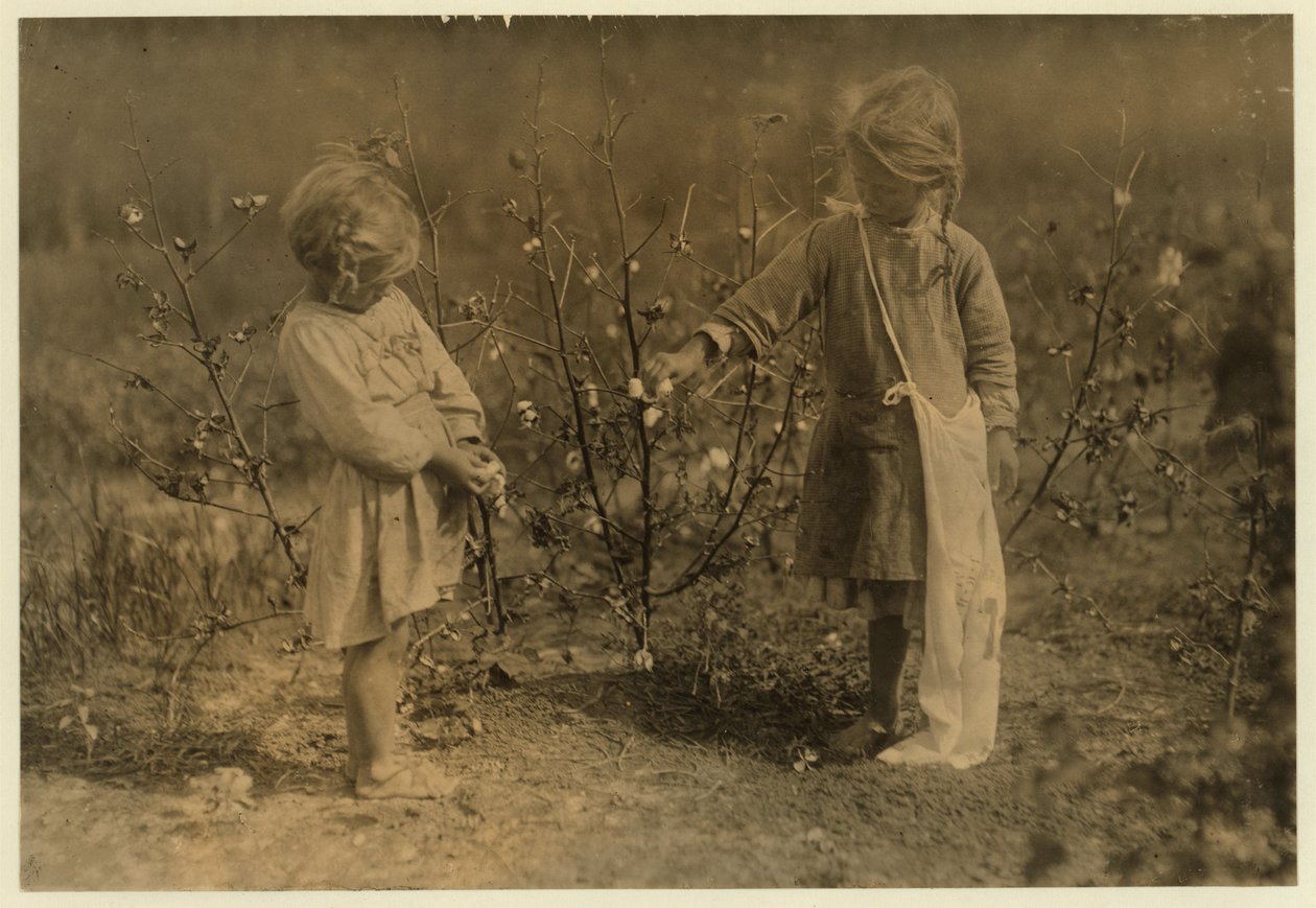 Millie，4岁，每天8磅棉花和Nellie 5，在1913年德克萨斯州休斯顿附近的一个农场挑选30个棉花 作者 刘易斯·威克斯·海恩