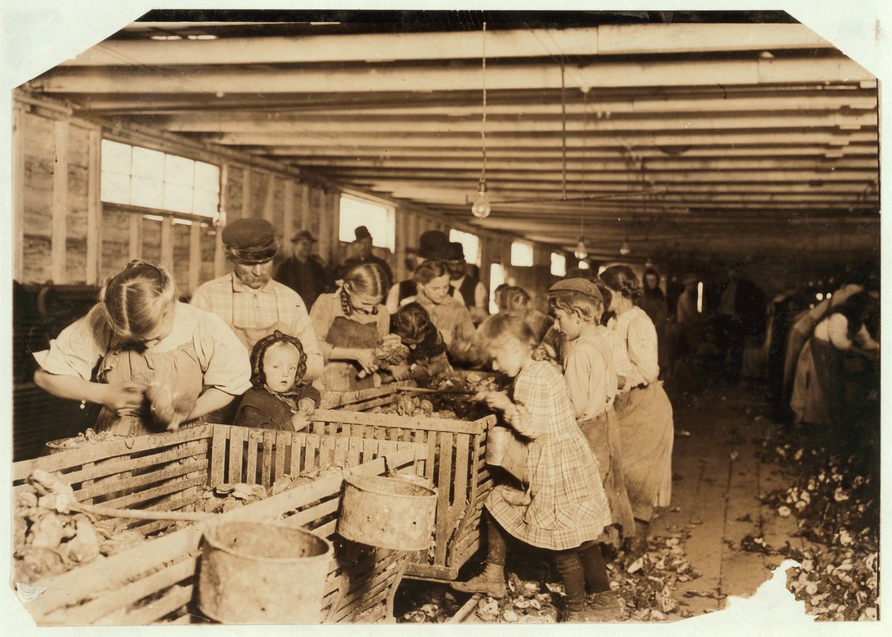 1911年在路易斯安那州Dunbar Cannery，8岁的Rosy作为牡蛎去壳工作了14个小时 作者 刘易斯·威克斯·海恩