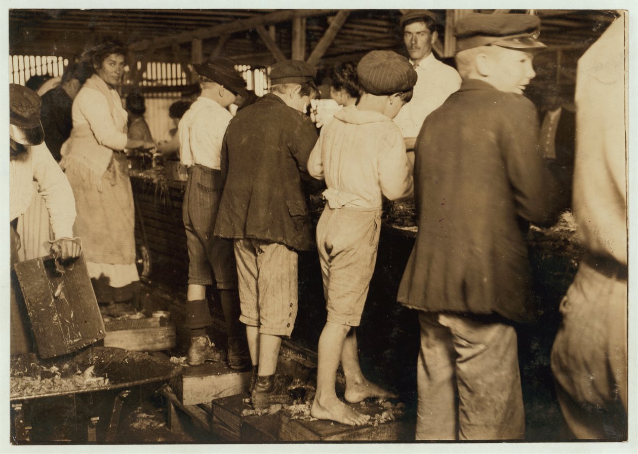 虾捡拾者，包括8岁的Max，在Dunbar，Lopez，Dukate Co，Biloxi，Mississippi，1911 作者 刘易斯·威克斯·海恩