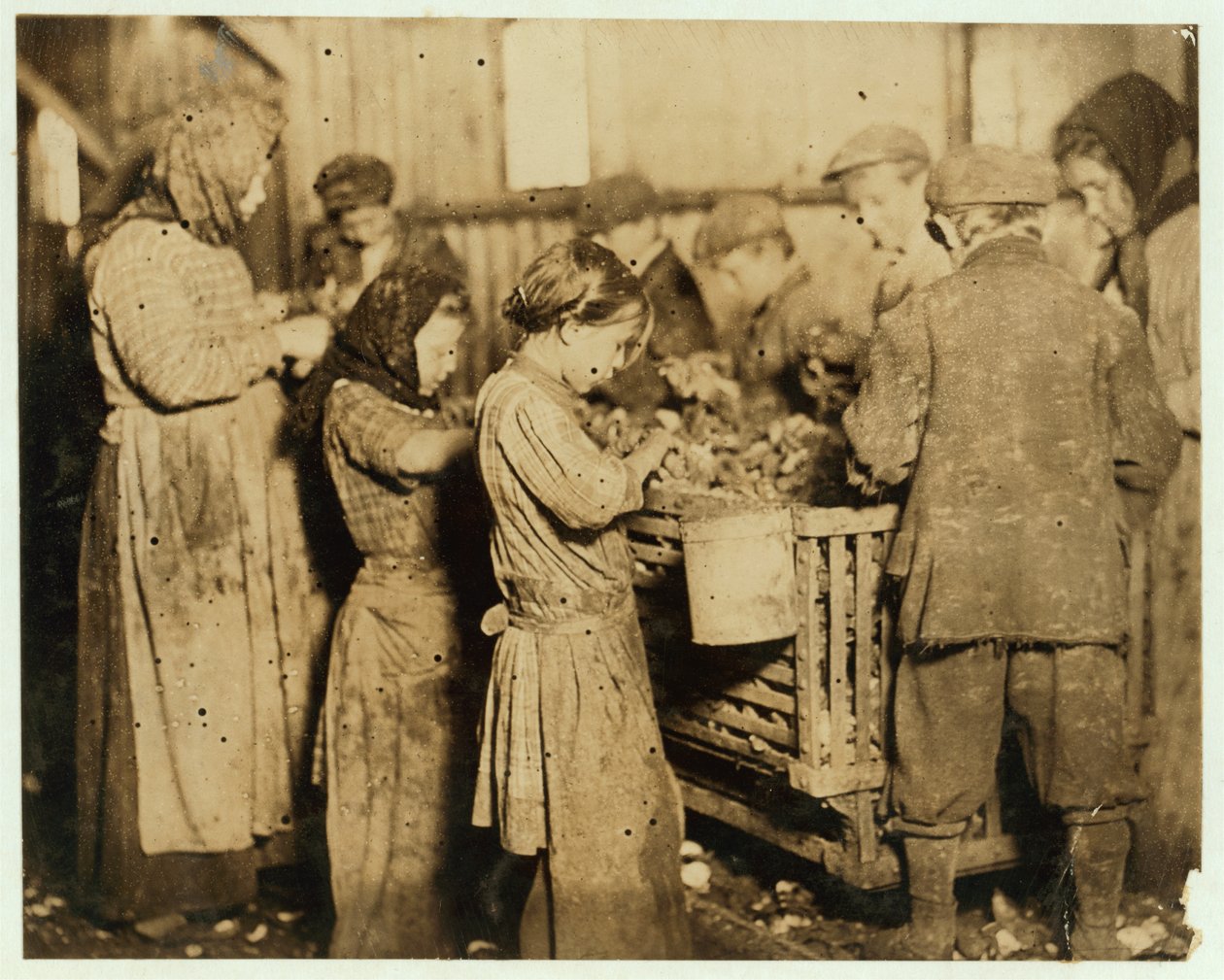 1913年，在南卡罗来纳州Younges Island的Varn und Platt Canning公司，约有10只牡蛎开放的牡蛎 作者 刘易斯·威克斯·海恩