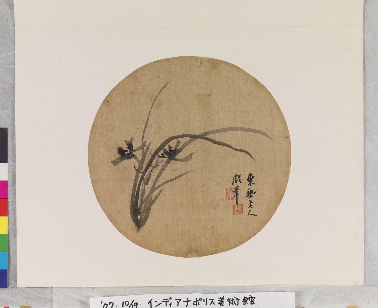 兰花盛开 作者 李晨