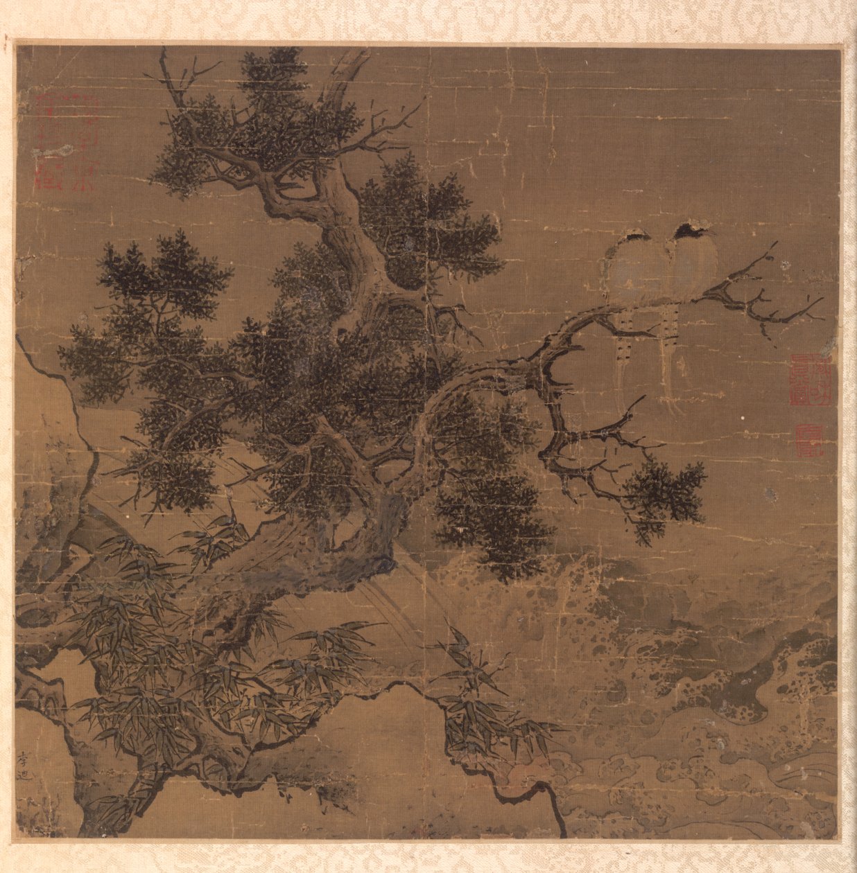 白内障上方树上的鸟儿 作者 李Di