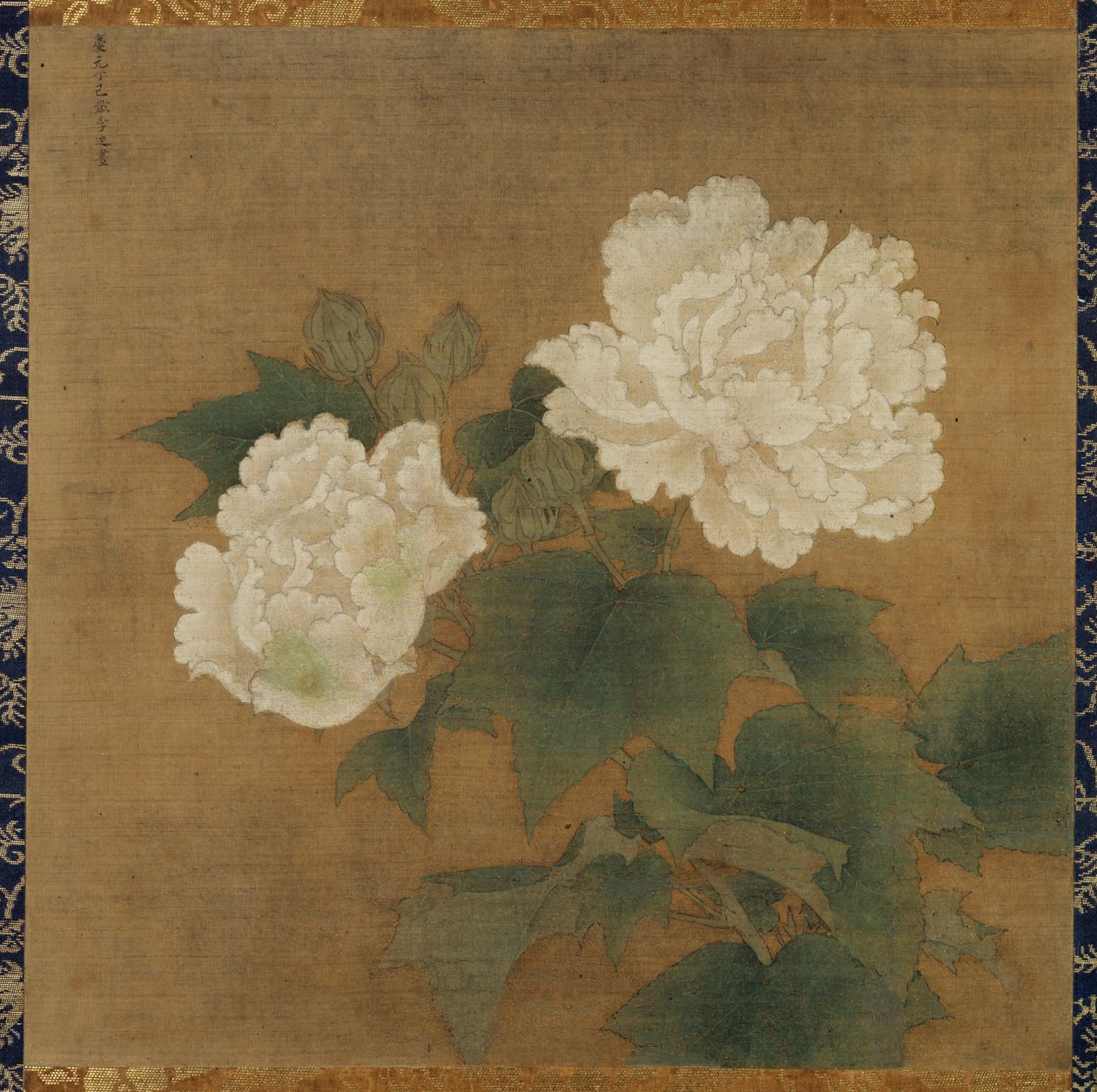 白芙蓉 作者 李Di