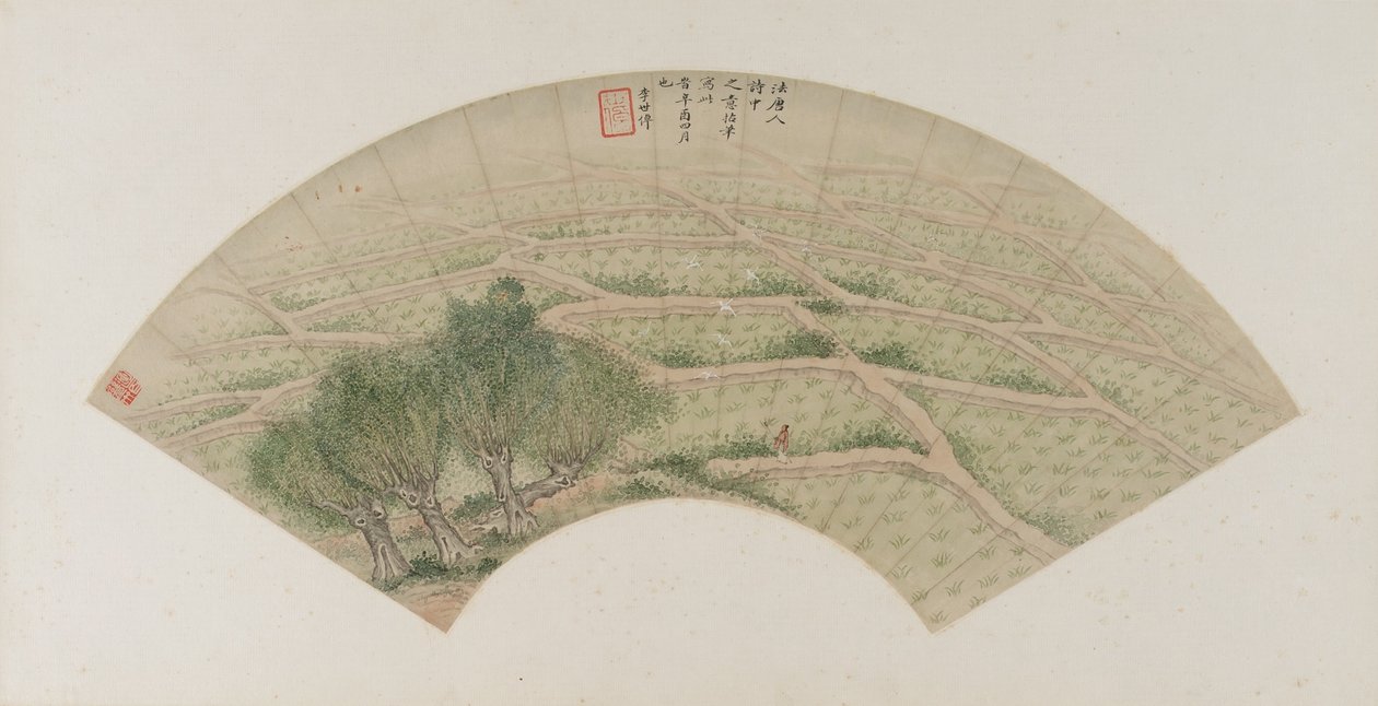 与苍鹭的稻田，清朝，1741年（墨水和纸上的颜色） 作者 李士佐