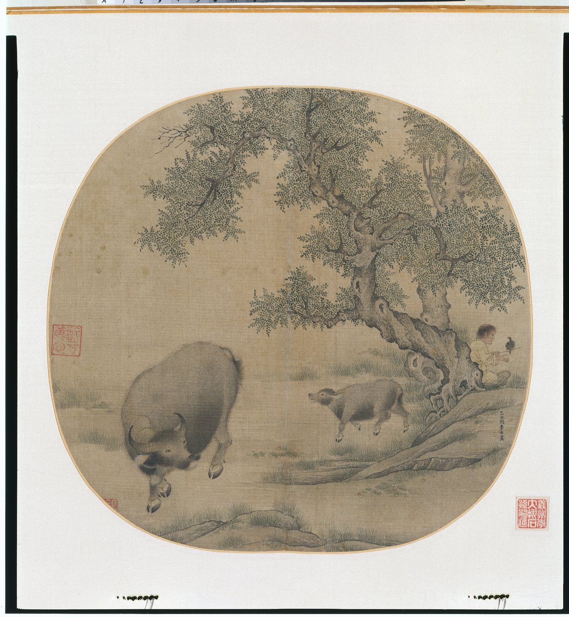 人、水牛和小牛 作者 李友