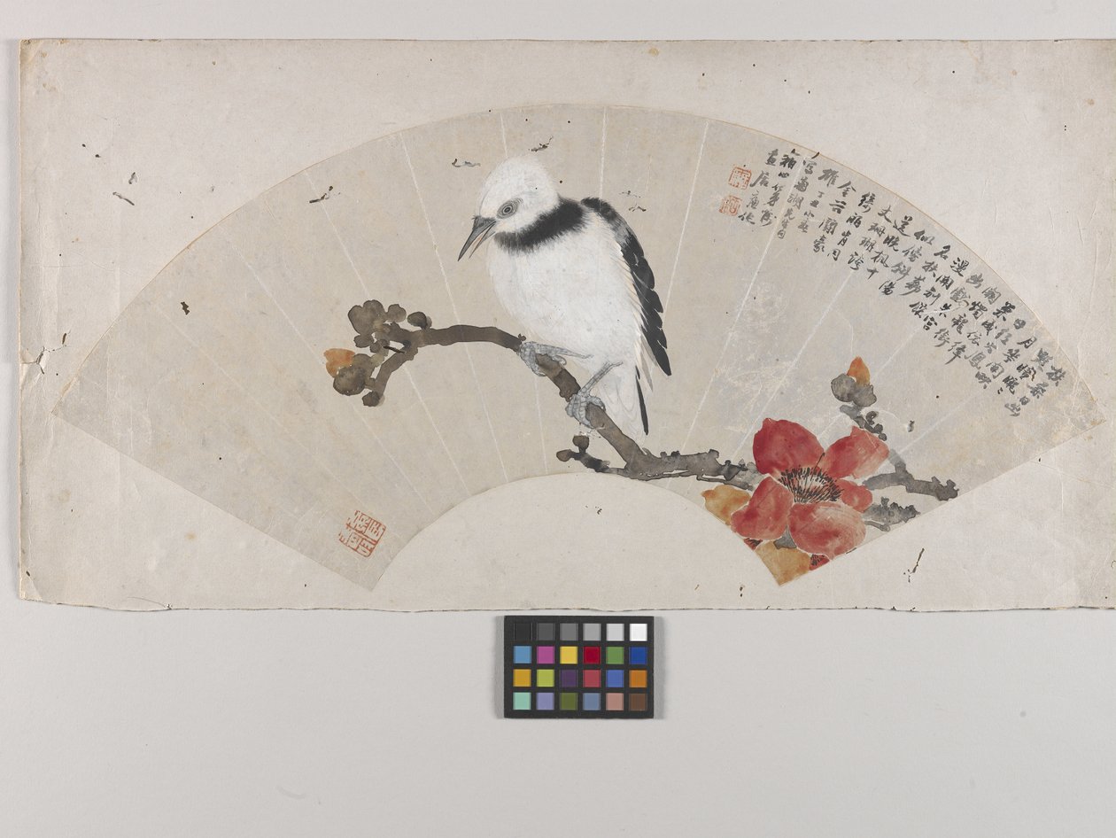 鸟与芙蓉 作者 连玉