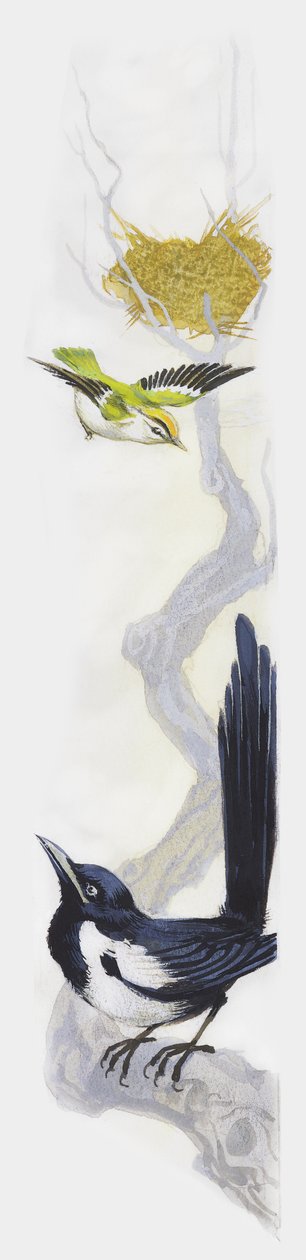 鸟在树上筑巢，喜鹊在树枝下观察，画画 作者 未知未知