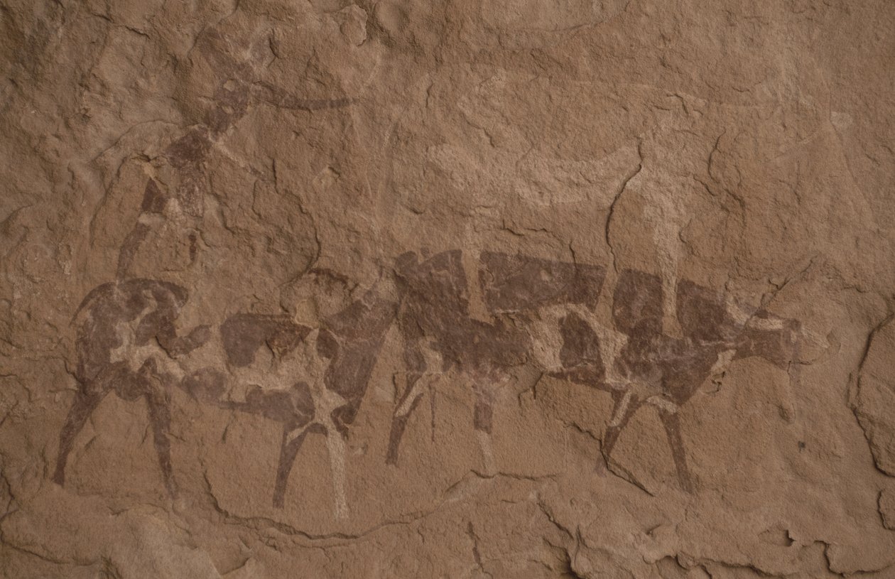牛和人像，洞穴绘画，杰兰的 Oued，靠近 Djanet，Tassili n