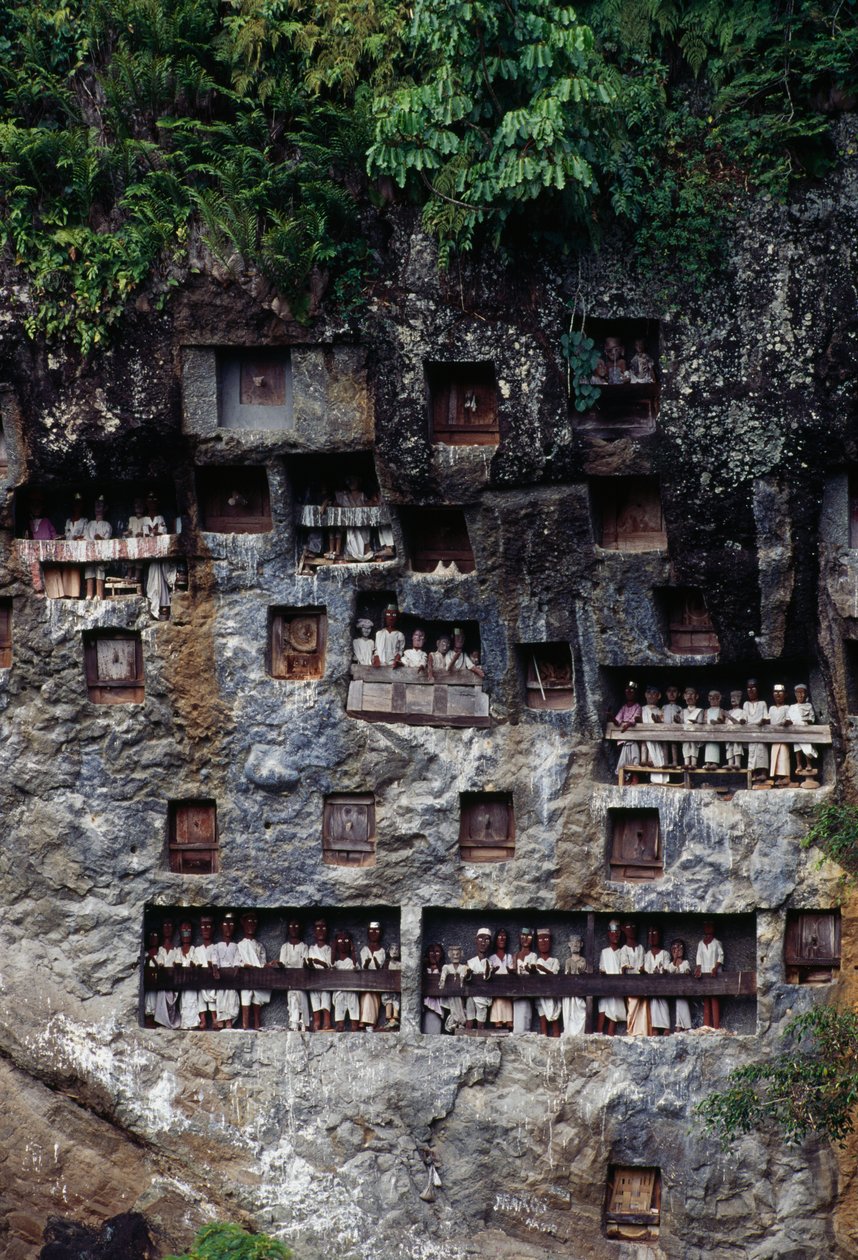 与 Tau Tau 太平间人物的葬礼壁龛，Lemo 村，Tana Toraja，印度尼西亚苏拉威西岛。 作者 未知未知