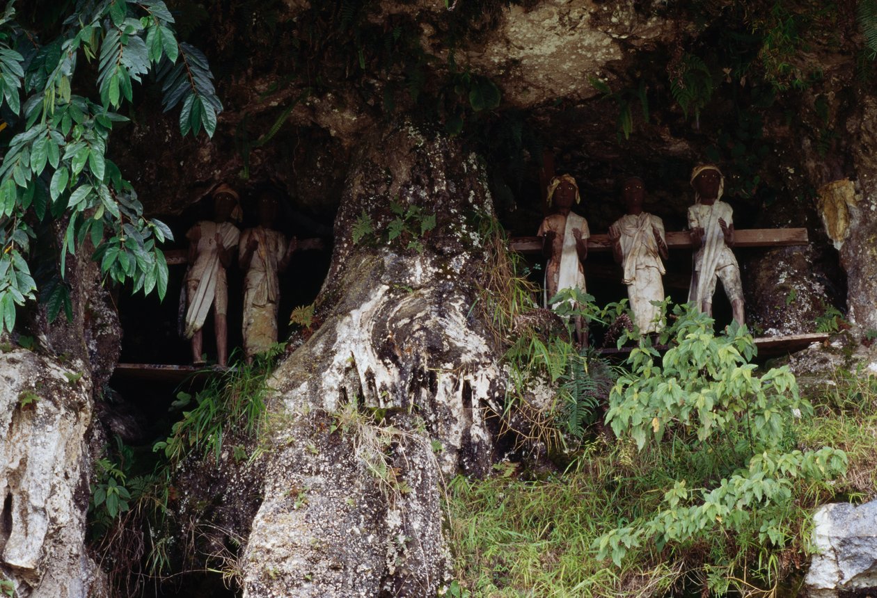 印度尼西亚苏拉威西岛 Tana Toraja 马兰特村，带有 Tau Tau 太平间人物的葬礼壁龛 作者 未知未知