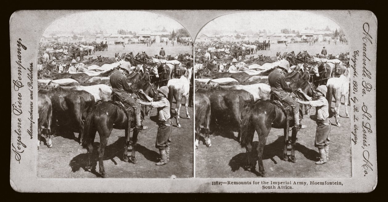 Guerre des Boers (Afrique du Sud 作者 未知未知