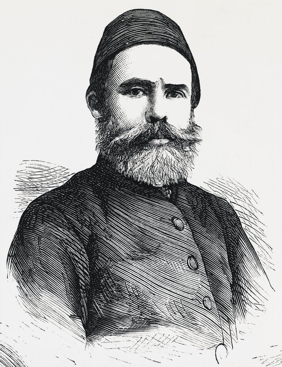 Portrait of Djevet Pasha, Interior minister of Ottoman Empire 作者 未知未知