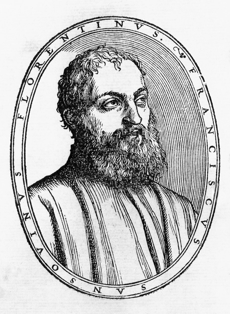 Francesco Tatti da Sansovino (1521-1586) 的肖像，意大利文人，木刻出自 Del secretario di Francesco Sansouino libri quattro，由 Francesco Rampazetto 出版 作者 未知未知