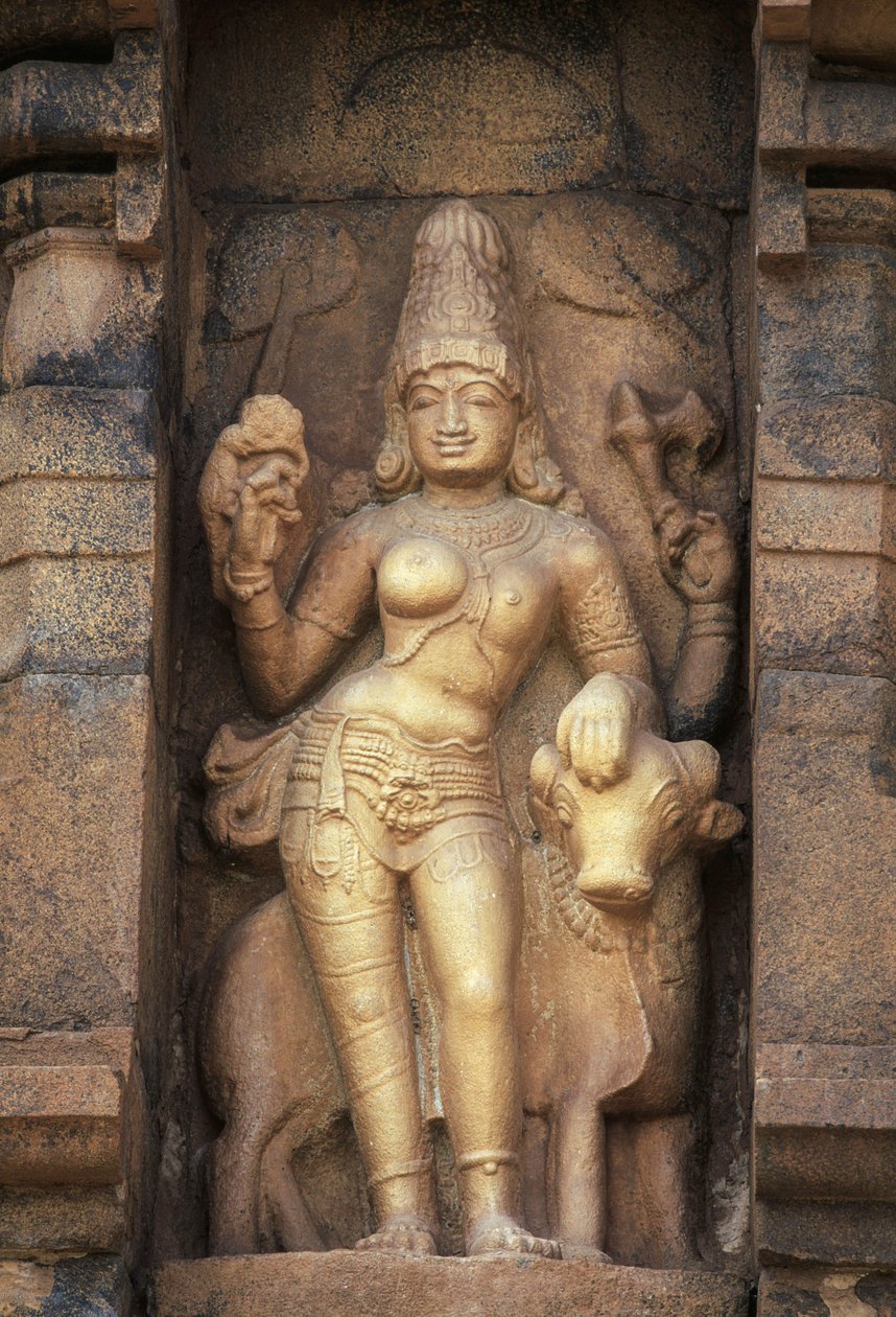 Relief depicting Parvati, Brihadisvara temple, Gangaikonda Cholapuram, Tamil Nadu, India 作者 未知未知