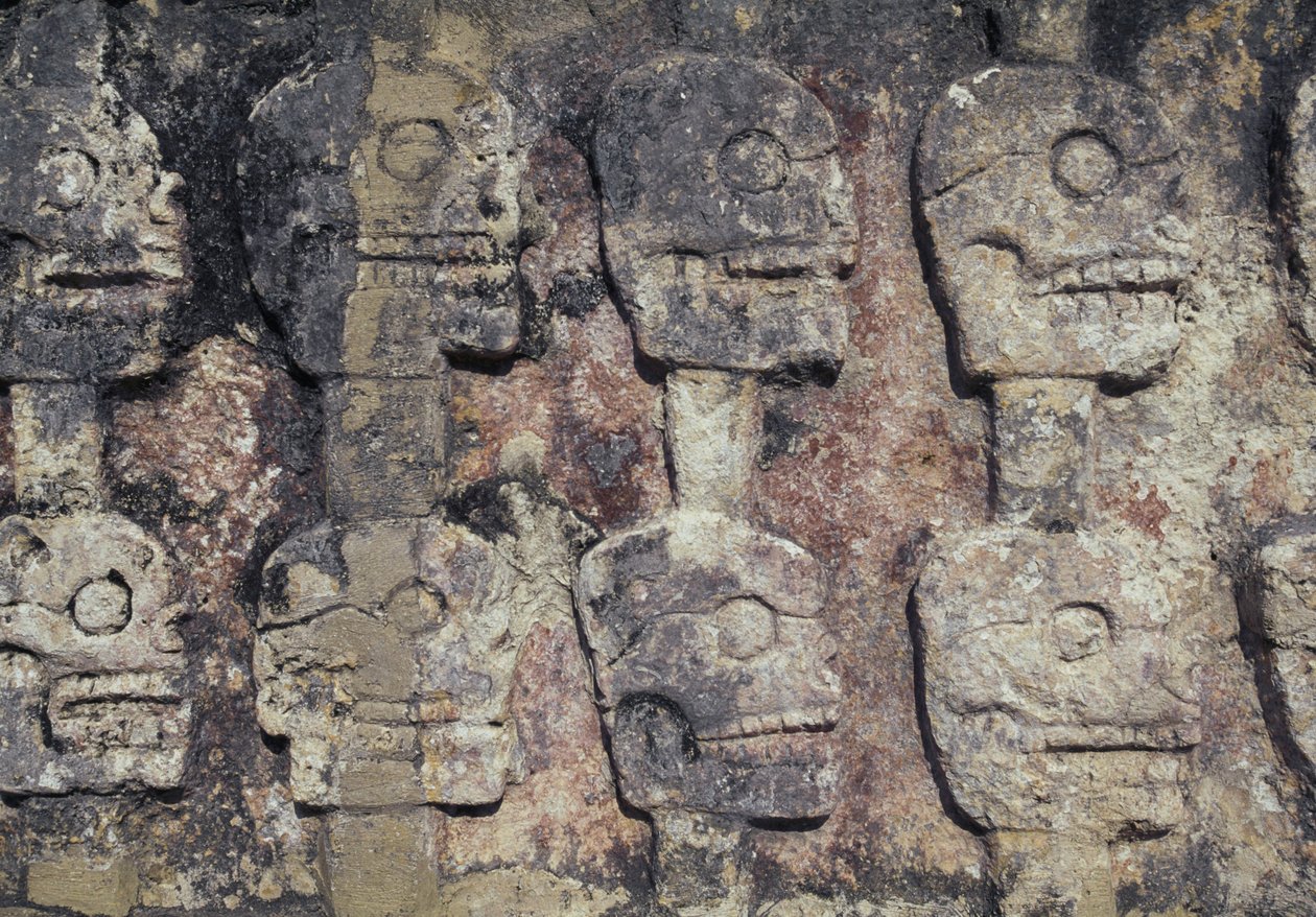 描绘人类头骨、Tzompantli 细节或奇琴伊察考古遗址（联合国教科文组织世界遗产地）或头骨墙的浮雕 作者 未知未知
