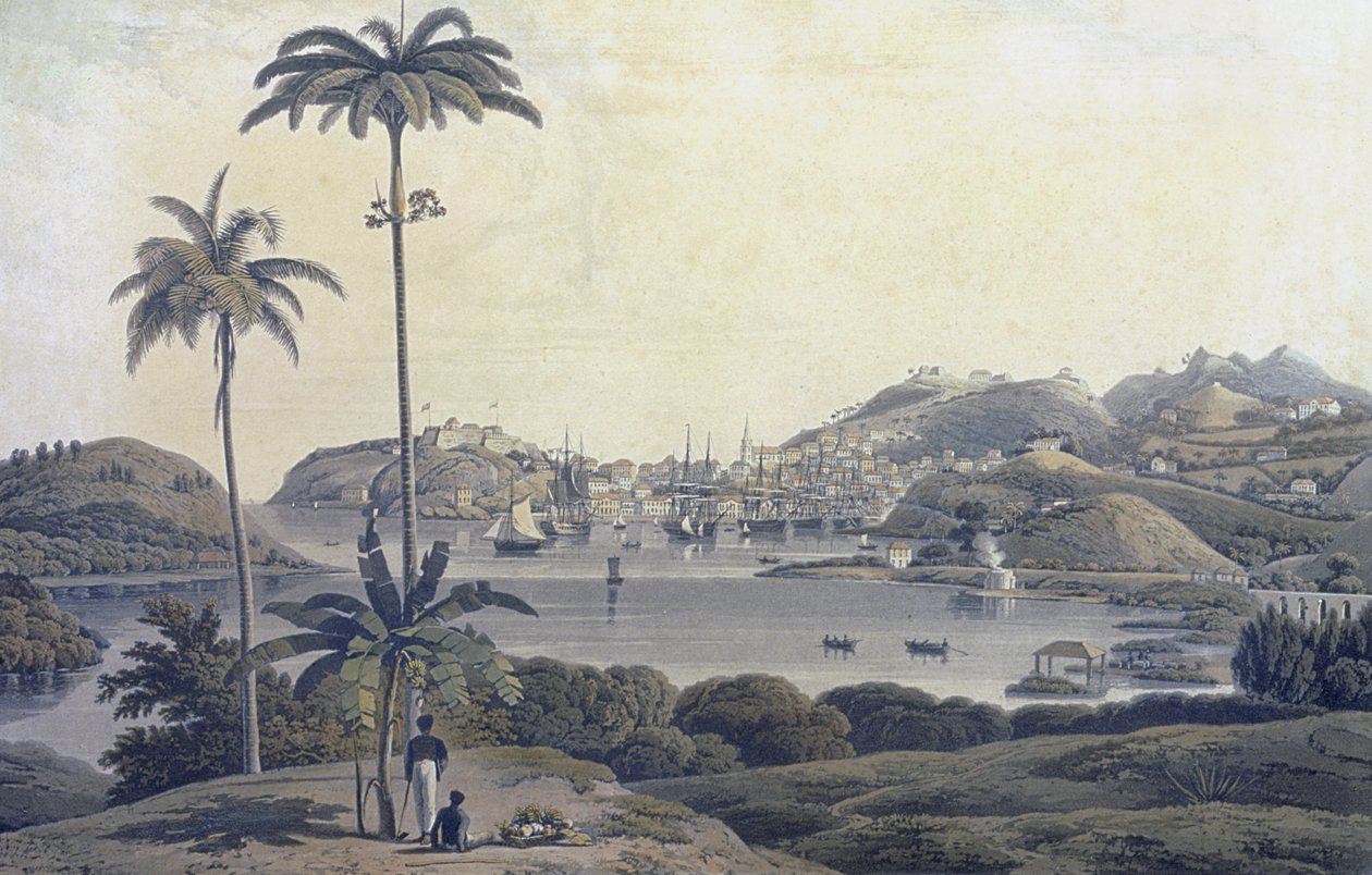 格林纳达岛上的圣乔治镇景观，取自贝尔蒙庄园，由威廉丹尼尔（1769-1837）雕刻，c.1810 作者 威尔逊中校