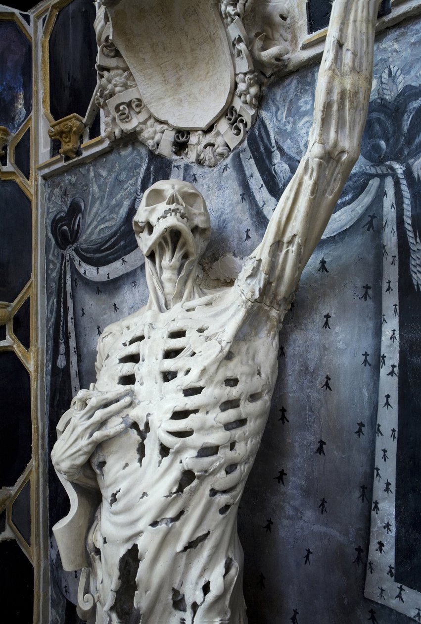 Flayed，或The Skeleton 作者 里吉尔·里奇尔