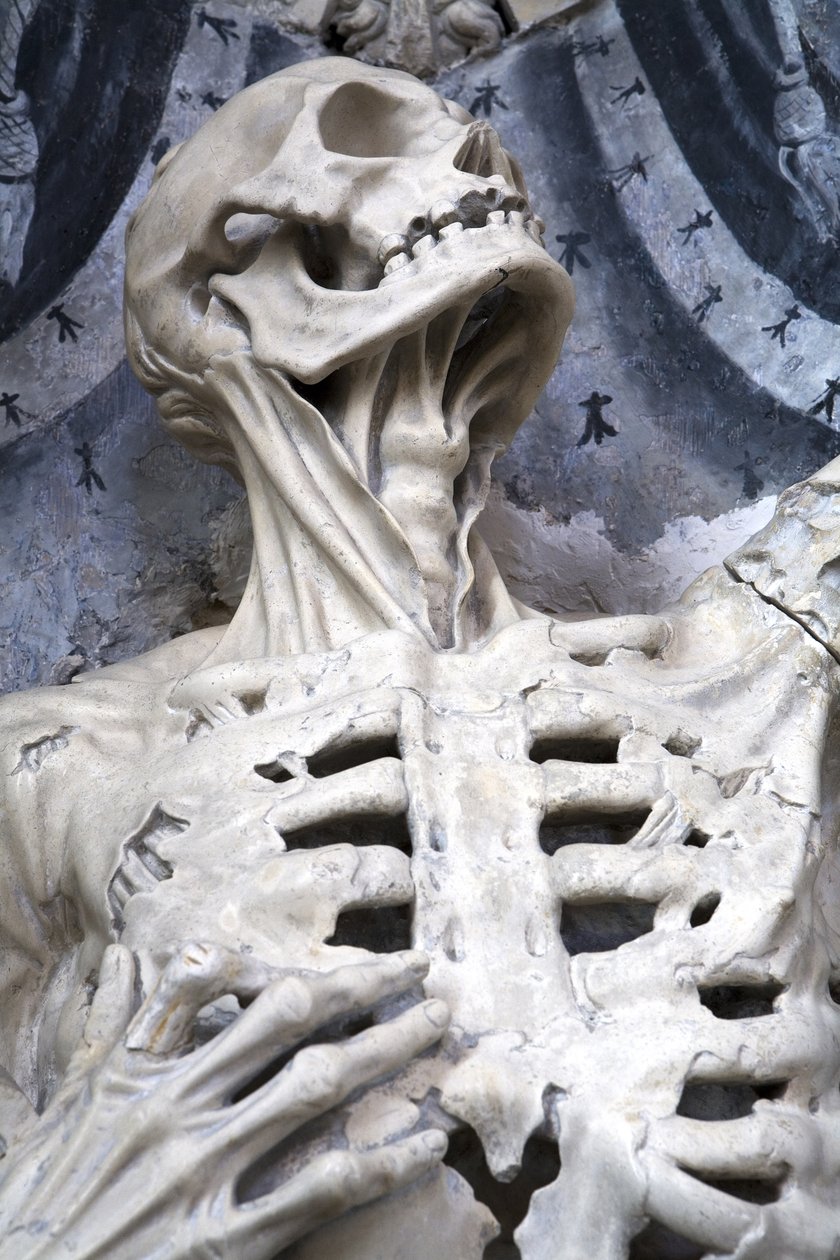 Flayed，或The Skeleton，细节 作者 里吉尔·里奇尔