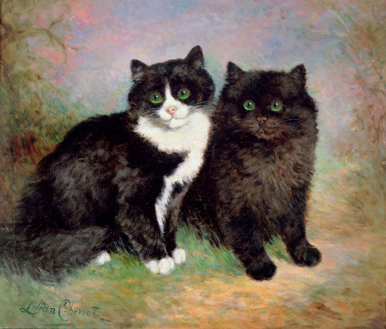 一对猫猫 作者 莉莲·雪维（Lilian Cheviot）