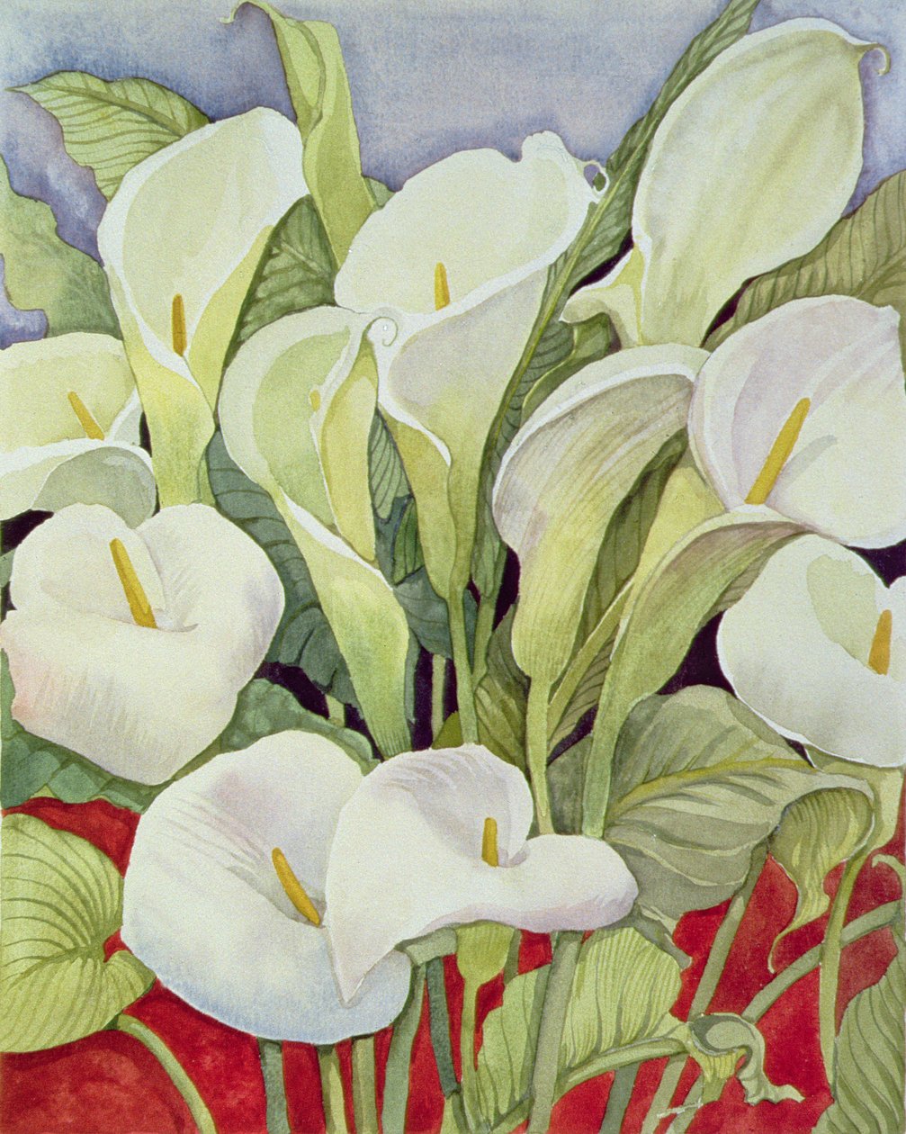 Arum Lillies，1978 作者 莉莲·迪瓦里阿